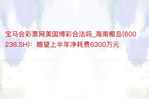 宝马会彩票网美国博彩合法吗_海南椰岛(600238.SH)：瞻望上半年净耗费6300万元