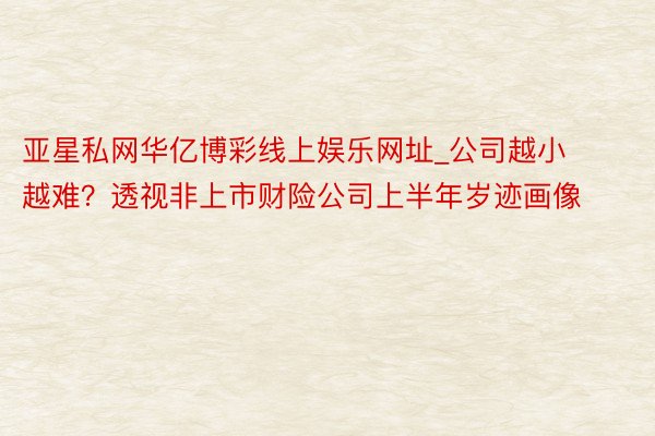 亚星私网华亿博彩线上娱乐网址_公司越小越难？透视非上市财险公司上半年岁迹画像